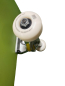 Preview: COCAMUE FlyingSummer 8.625 komplett