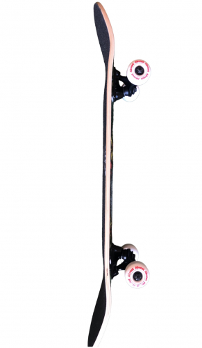 Powell Peralta Vallely Elephant 8.25 X CCÜ komplett