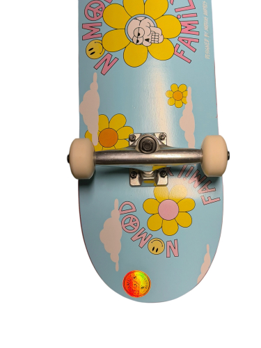 NOMAD x Cocamü komplett Skateboard 8.0