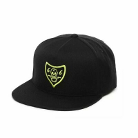 Vans Larry Edgar Snapback